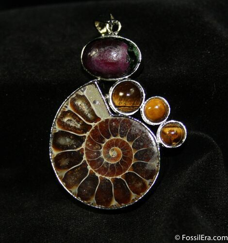 Ammonite Pendant #656